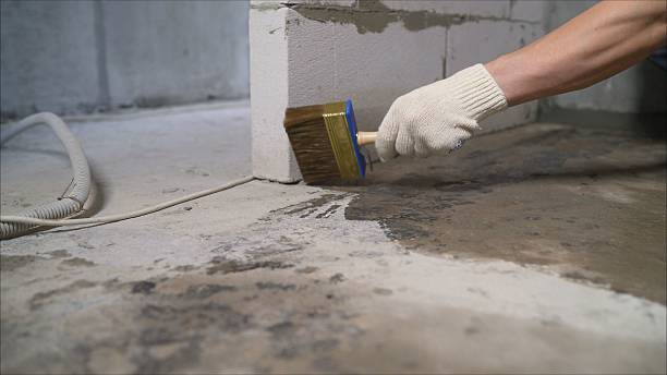 SJ Waterproofing Pros Waterproofing coverage map for Chelsea, MI and surrounding area